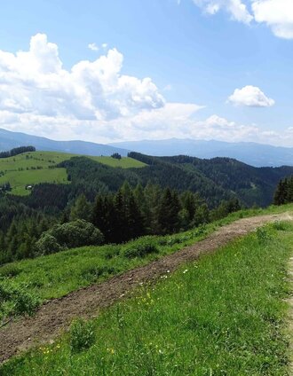 Abfahrt Richtung Knittelfeld | Weges OG | © Weges OG