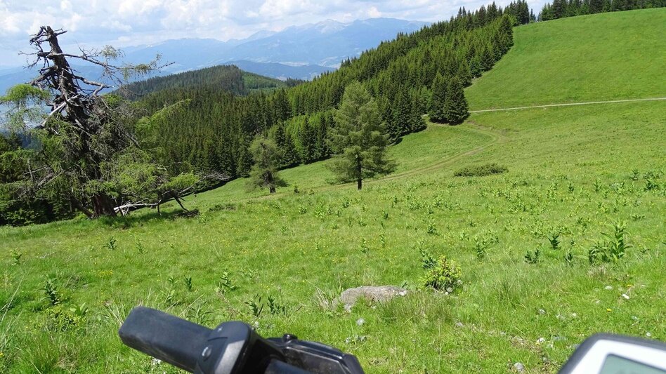 Radfahren Steinplan – Knittelfelds Hausberg - Touren-Impression #2.2 | © Weges OG
