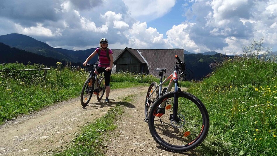 Radfahren Steinplan – Knittelfelds Hausberg - Touren-Impression #2.4 | © Weges OG