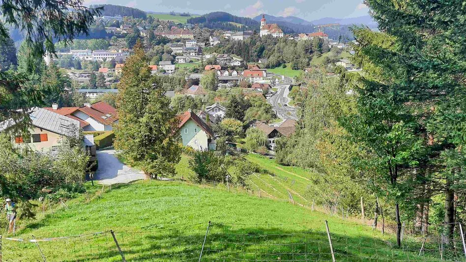 Bike Riding Discovery Tour 6 - E-Bike Tour: Pöllau / Birkfeld / Strallegg / Wenigzell / Vorau / Pöllau - Touren-Impression #2.3 | © Oststeiermark Tourismus