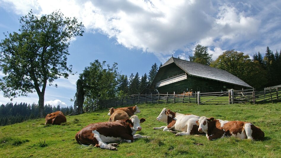 Hiking route Hike: Alpl – Teufelstein – Stanglalpe – Alpl - Touren-Impression #2.2 | © TV Hochsteiermark