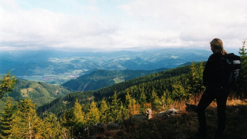 Hiking route Hike: Alpl – Stanglalm – Krieglach - Touren-Impression #2.1 | © Walter Langecker