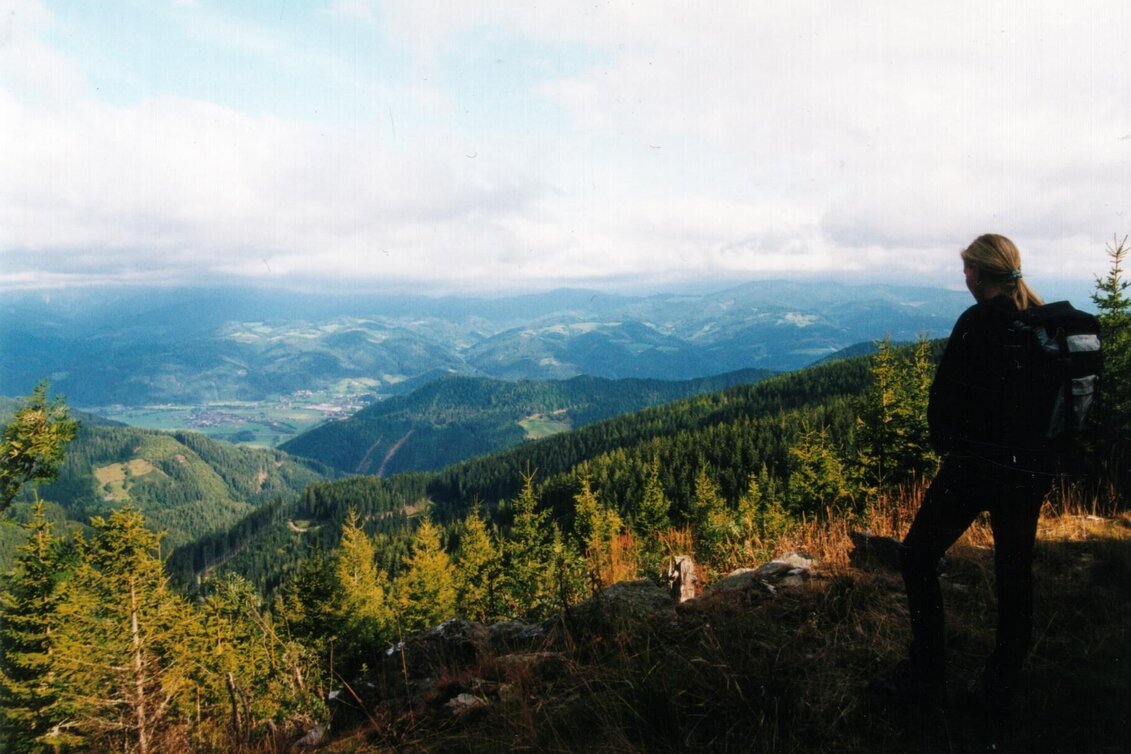 Hiking route Hike: Alpl – Stanglalm – Krieglach - Touren-Impression #1 | © Walter Langecker
