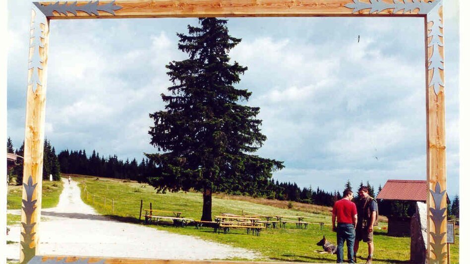 Hiking route Hike: Alpl – Stanglalm – Krieglach - Touren-Impression #2.2 | © Krammer