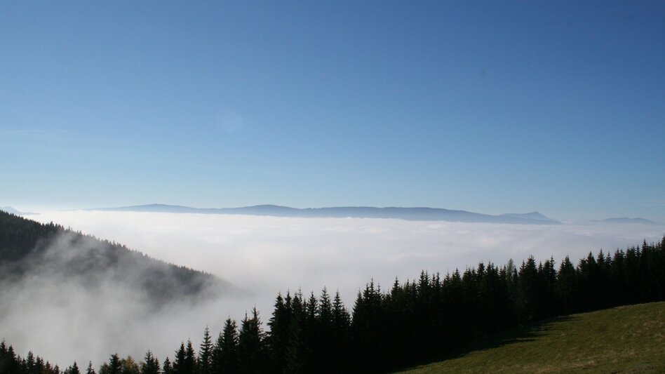 Hiking route Sommerberg - Hocheck - Malleistenalm - Touren-Impression #2.2 | © Maria Steindl
