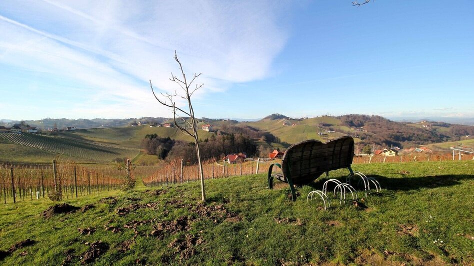 Hiking route Weinwanderweg Ratsch-Ottenberg (Variante 21a) - Touren-Impression #2.1 | © TVB Südsteiermark/Ulrike Elsneg