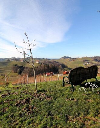 weinwanderweg ratsch-ottenberg (variante 21a)_img_12533770 | Ulrike Elsneg | © TVB Südsteiermark/Ulrike Elsneg