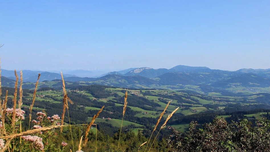 Hiking route Schöckl Round from Schöcklkreuz (Plenzengreith) - Touren-Impression #2.1 | © Oststeiermark Tourismus