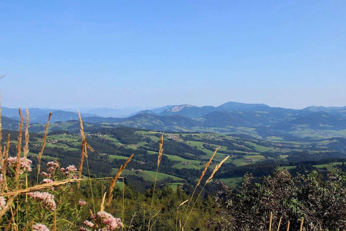 Hiking route Schöckl Round from Schöcklkreuz (Plenzengreith) - Touren-Impression #1 | © Oststeiermark Tourismus