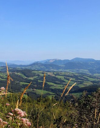 Ausblick vom Schöckl zur Roten Wand | Christine Pollhammer | © Oststeiermark Tourismus