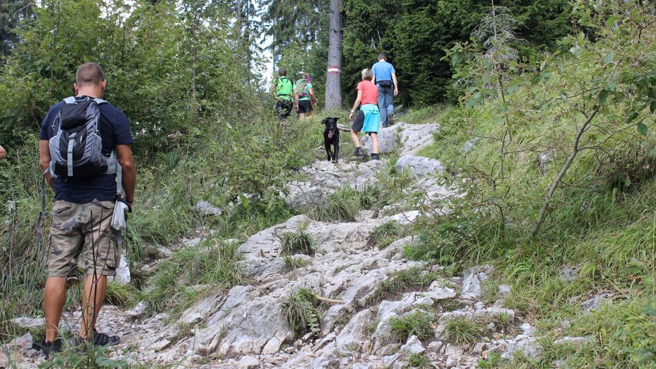 Hiking route Schöckl Round from Schöcklkreuz (Plenzengreith) - Touren-Impression #2.4 | © Oststeiermark Tourismus