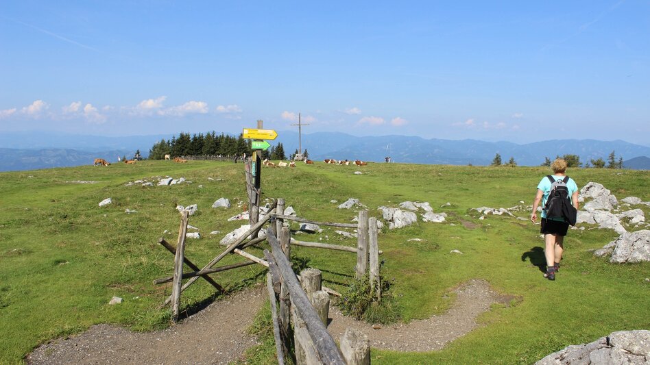 Hiking route Schöckl Round from Schöcklkreuz (Plenzengreith) - Touren-Impression #2.6 | © Oststeiermark Tourismus