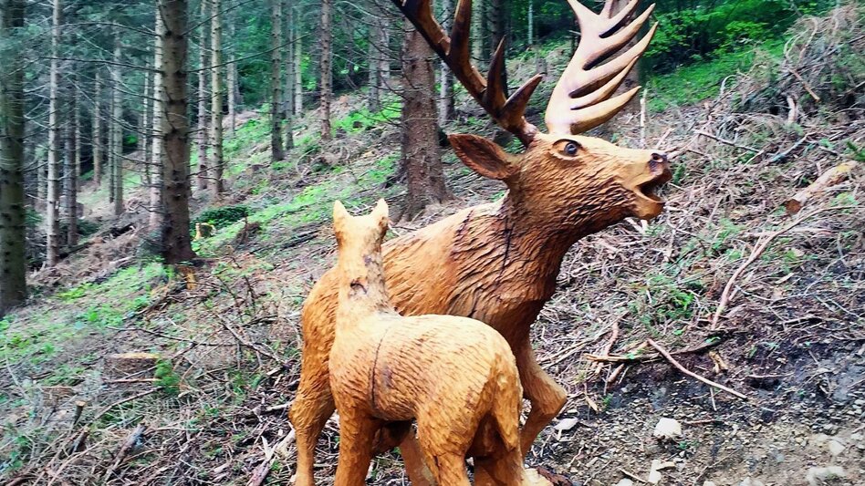 Hiking route Gerler Round from the Nechnitz - Touren-Impression #2.4 | © Oststeiermark Tourismus