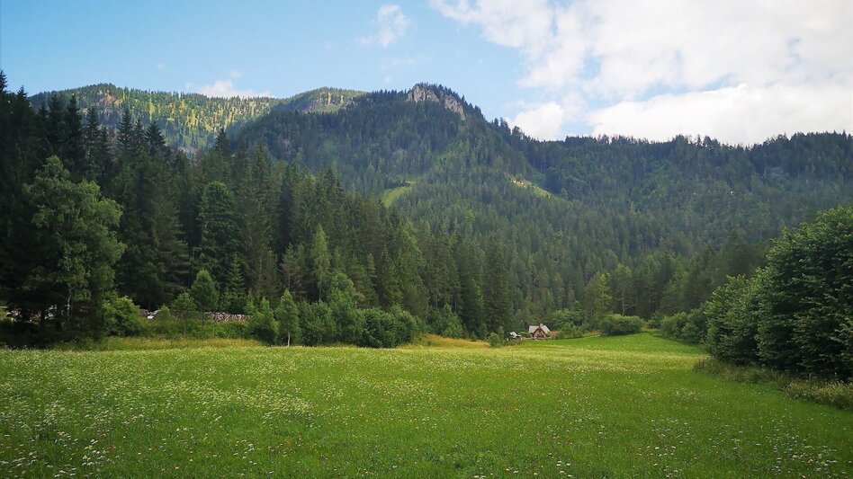 Wanderung Von Mürzsteg zur Kleinveitschalm im Naturpark Mürzer Oberland - Touren-Impression #2.1 | © TV Hochsteiermark