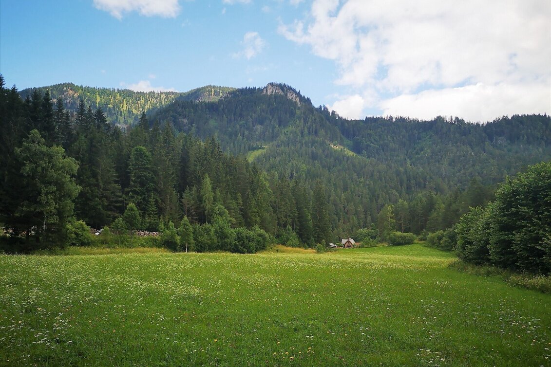 Wanderung Von Mürzsteg zur Kleinveitschalm im Naturpark Mürzer Oberland - Touren-Impression #1 | © TV Hochsteiermark