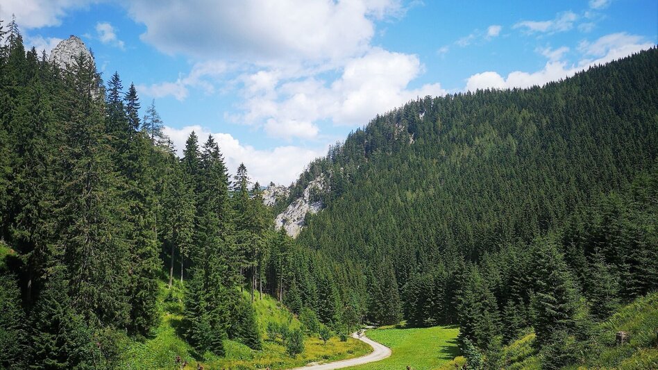 Wanderung Von Mürzsteg zur Kleinveitschalm im Naturpark Mürzer Oberland - Touren-Impression #2.4 | © TV Hochsteiermark