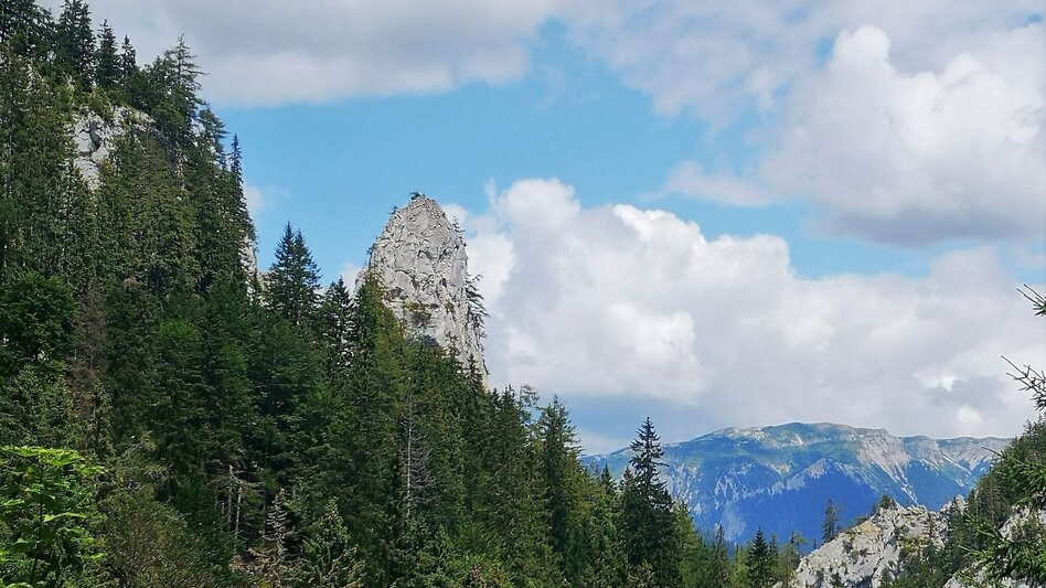 Wanderung Von Mürzsteg zur Kleinveitschalm im Naturpark Mürzer Oberland - Touren-Impression #2.5 | © TV Hochsteiermark