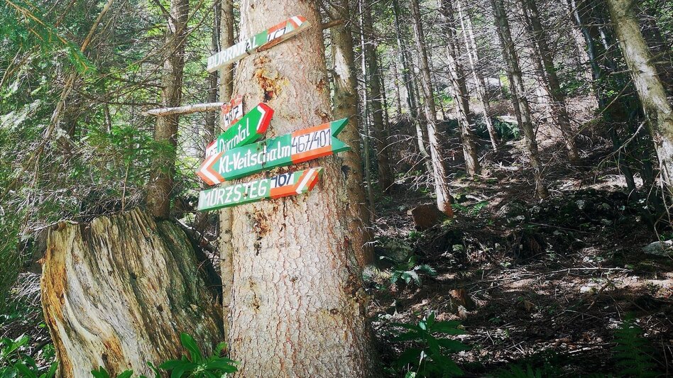 Wanderung Von Mürzsteg zur Kleinveitschalm im Naturpark Mürzer Oberland - Touren-Impression #2.6 | © TV Hochsteiermark