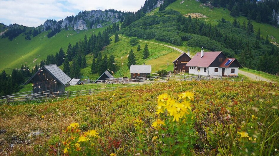 Wanderung Von Mürzsteg zur Kleinveitschalm im Naturpark Mürzer Oberland - Touren-Impression #2.8 | © TV Hochsteiermark