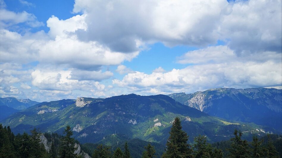 Wanderung Von Mürzsteg zur Kleinveitschalm im Naturpark Mürzer Oberland - Touren-Impression #2.9 | © TV Hochsteiermark