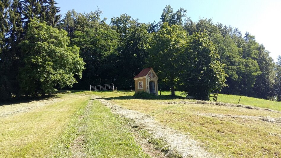 Wanderung Turnersteig (545) - Touren-Impression #2.7 | © Region Graz