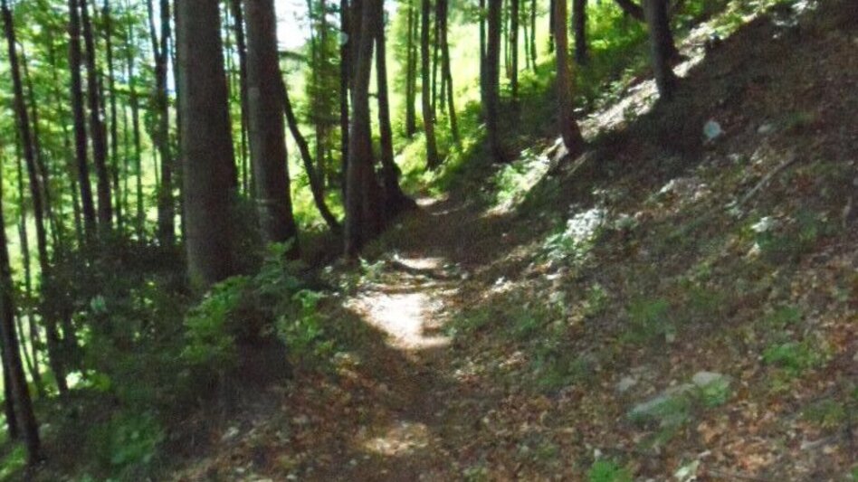 Wanderung Turnersteig (545) - Touren-Impression #2.8 | © TV Lipizzanerheimat/EU