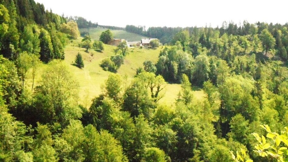 Wanderung Turnersteig (545) - Touren-Impression #2.9 | © TV Lipizzanerheimat/EU