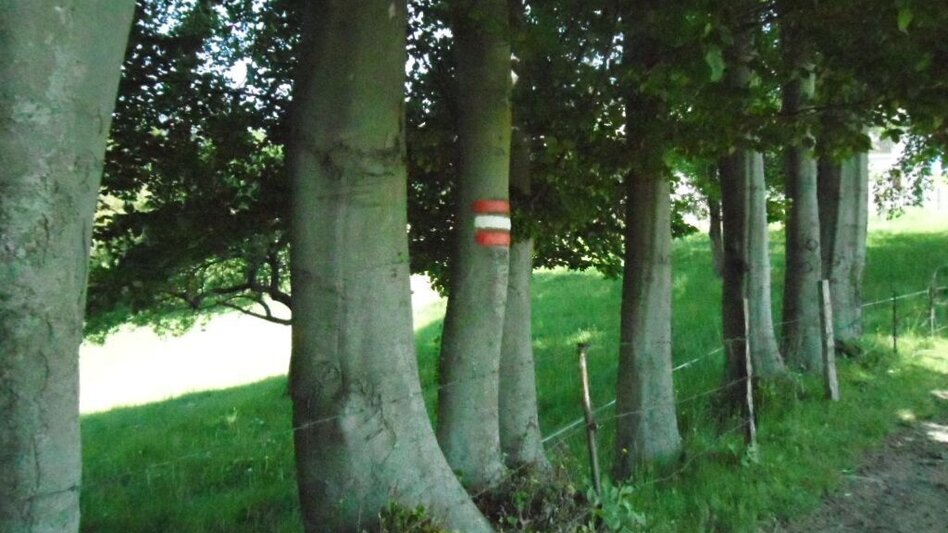 Wanderung Turnersteig (545) - Touren-Impression #2.12 | © Region Graz