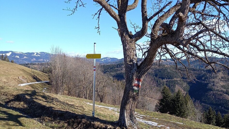 Wanderung Turnersteig (545) - Touren-Impression #2.14 | © Region Graz