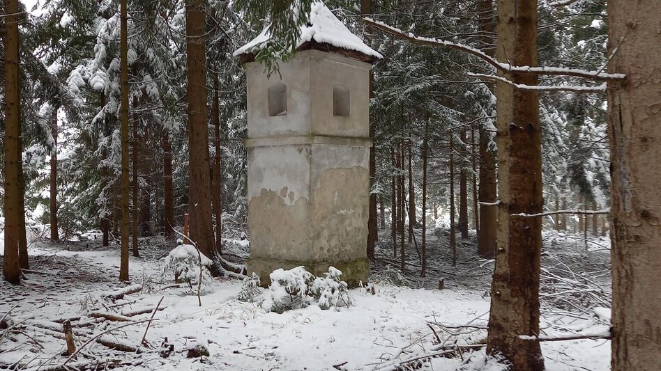 Wanderung Turnersteig (545) - Touren-Impression #2.17 | © Region Graz