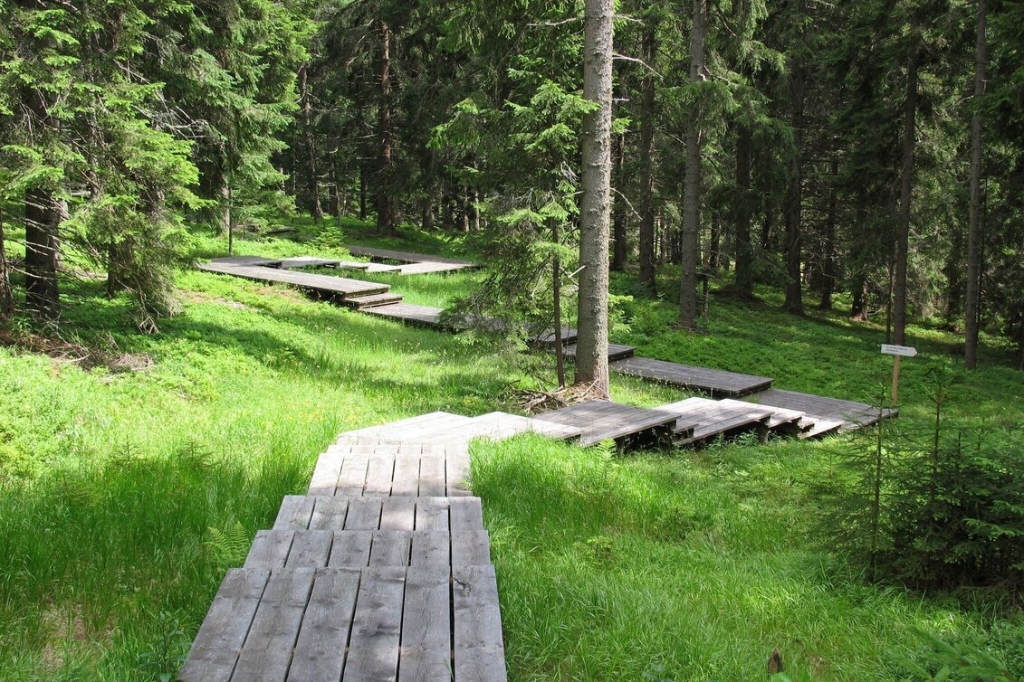 Hiking route Chapel tour on the Hebalm - Touren-Impression #1 | © Werbeagentur SMAC