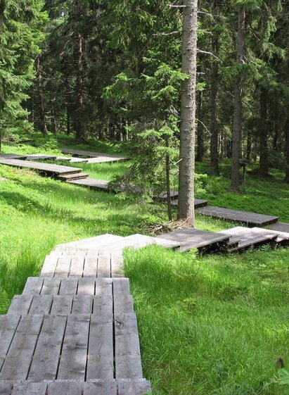 Dom des Waldes | © Werbeagentur SMAC | Sven Raters | © Werbeagentur SMAC