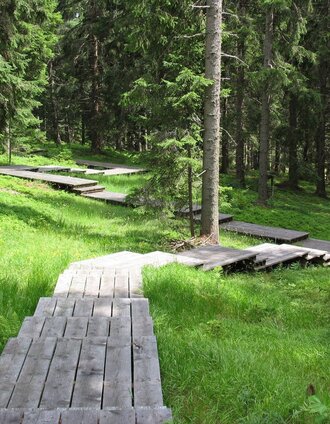 Dom des Waldes | Sven Raters | © Werbeagentur SMAC