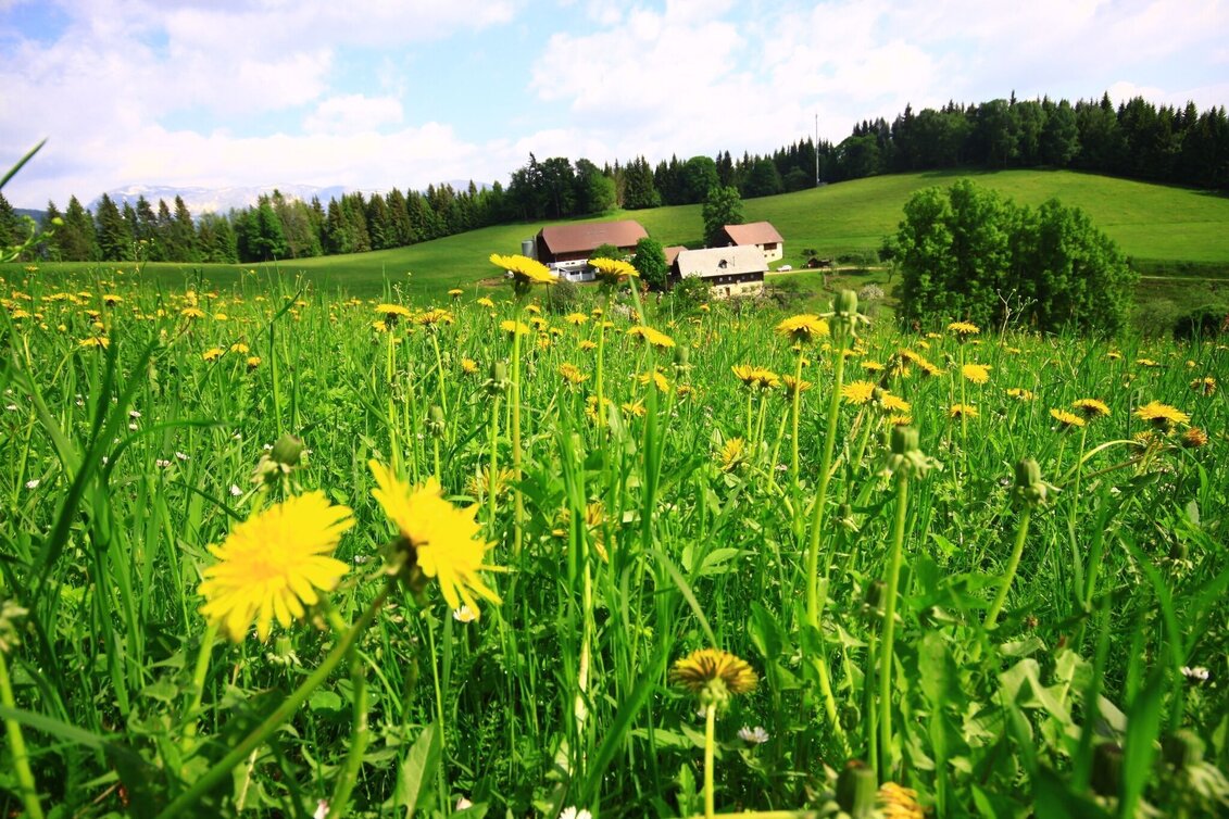 Hiking route Hike to the Hundskopfhütte - Touren-Impression #1 | © Herbert Podbressnik