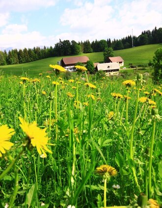 Der Bauernhof Hochreiter am Weg | © Herbert Podbressnik