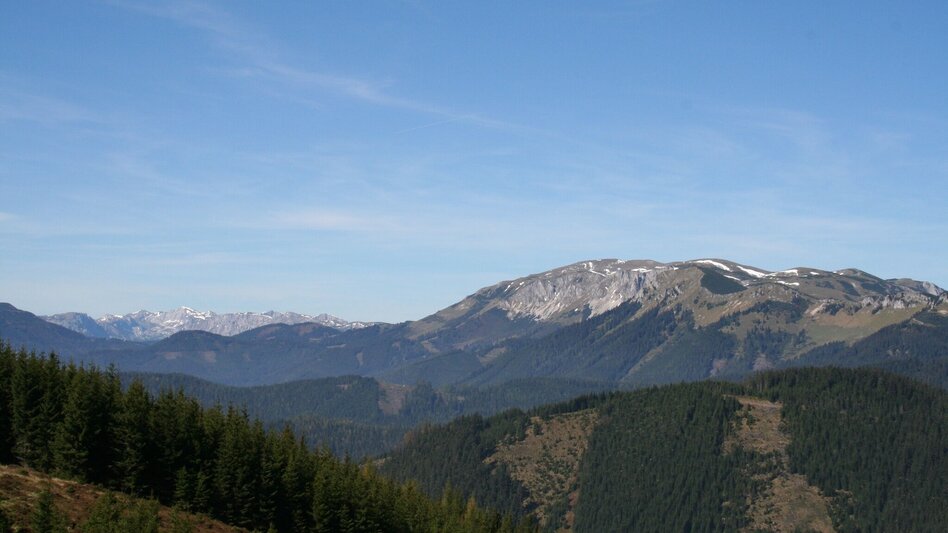 Wanderung Wanderung Hocheck (über Hofalm) - Touren-Impression #2.1 | © Maria Steindl