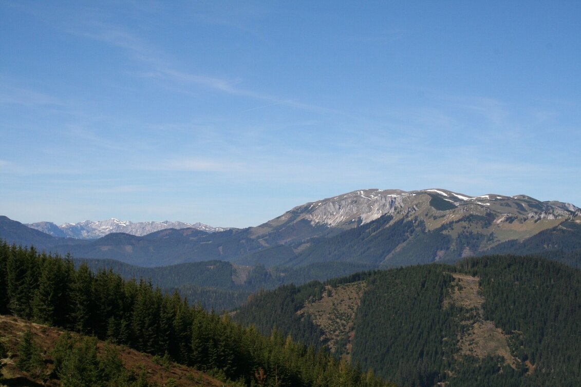 Wanderung Wanderung Hocheck (über Hofalm) - Touren-Impression #1 | © Maria Steindl