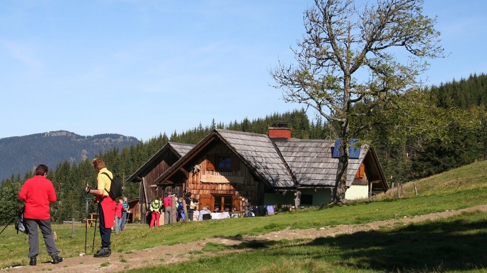 Wanderung Wanderung Hocheck (über Hofalm) - Touren-Impression #2.2 | © Maria Steindl