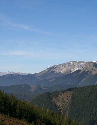 Blick vom Hocheck zum Veitsch-Massiv | © Maria Steindl