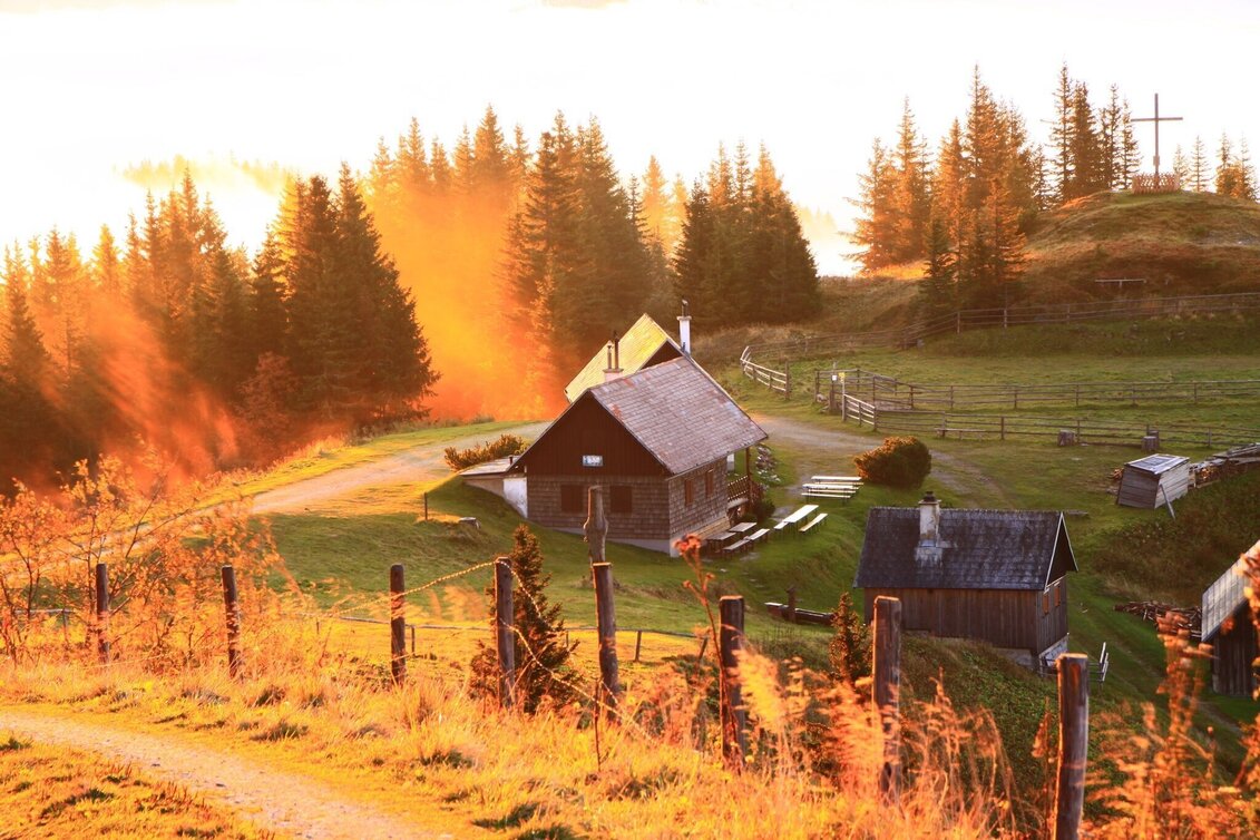 Hiking route Hike to Kleinveitschalm (from the Waldbauer Barrier) - Touren-Impression #1 | © Herbert Podbressnik