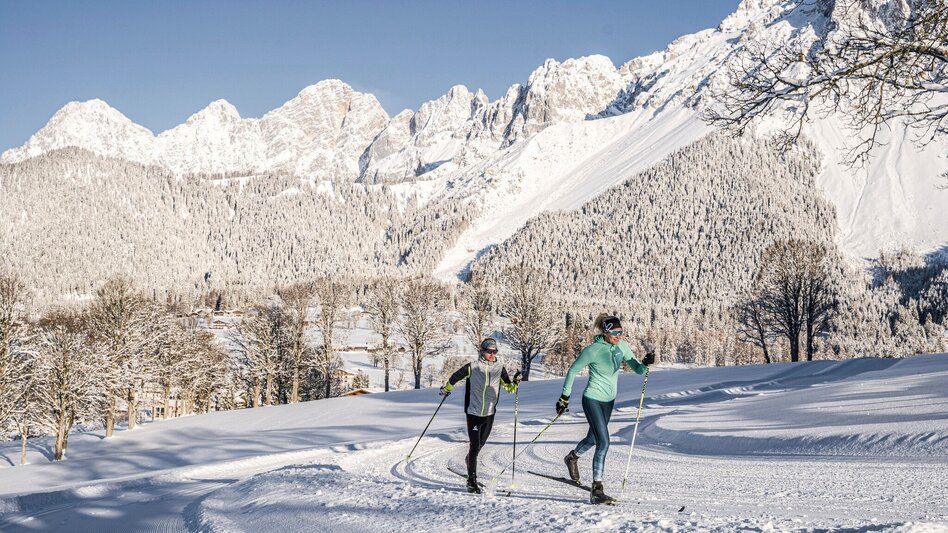 Ski nordic skating Ramsau Loop Trail - Touren-Impression #2.2 | © Erlebnisregion Schladming-Dachstein