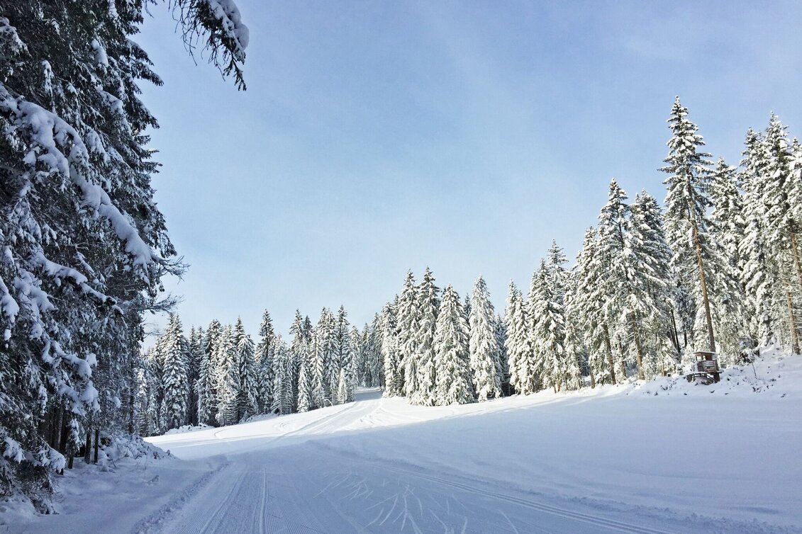 Ski nordic skating Ramsau Loop Trail - Touren-Impression #1 | © Tourismusverband Ramsau am Dachstein