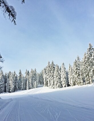 Kulmberg-Waldloipe | Tourismusverband Schladming-Dachstein | © Tourismusverband Ramsau am Dachstein