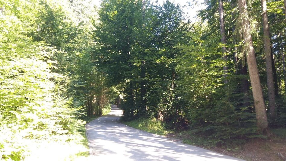 Wanderung Zigöllerkogel Rundweg (94) - Touren-Impression #2.2 | © Region Graz