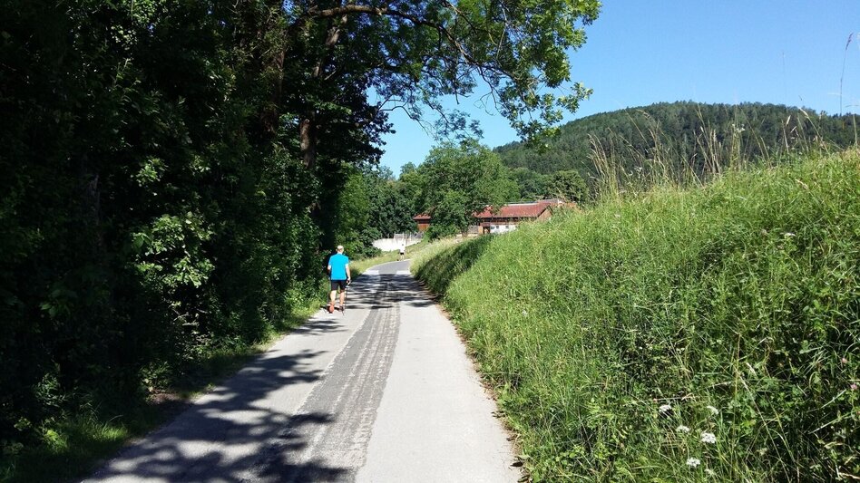 Wanderung Zigöllerkogel Rundweg (94) - Touren-Impression #2.4 | © Region Graz