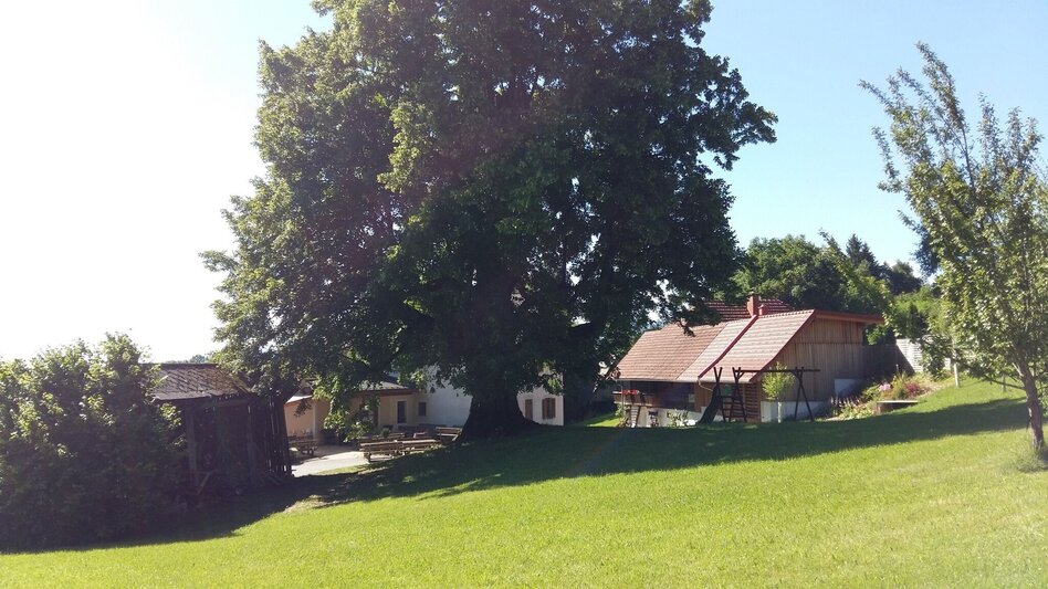 Wanderung Zigöllerkogel Rundweg (94) - Touren-Impression #2.5 | © Region Graz