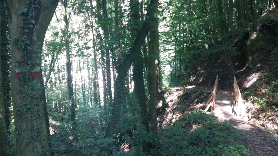 Wanderung Zigöllerkogel Rundweg (94) - Touren-Impression #2.8 | © Region Graz