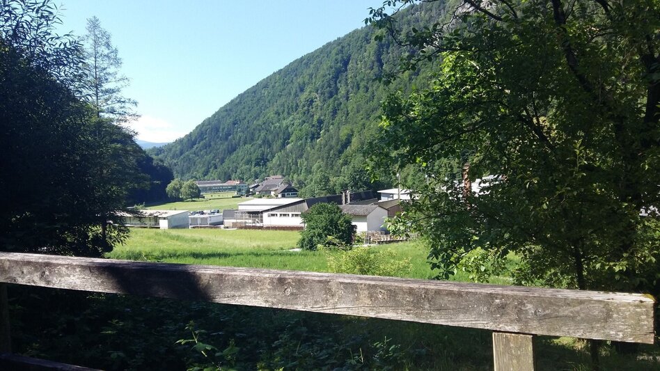 Wanderung Zigöllerkogel Rundweg (94) - Touren-Impression #2.10 | © Region Graz