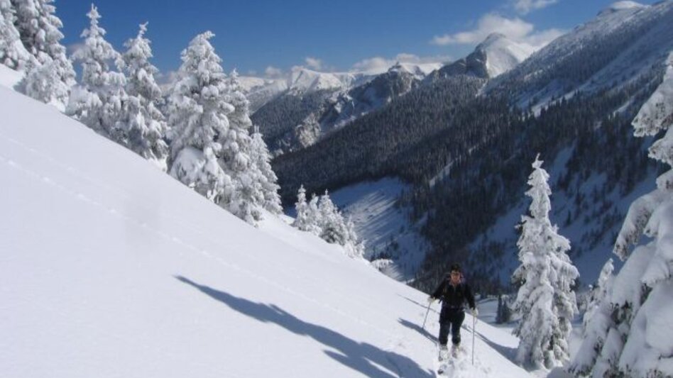 Snowshoe walking Schneeschuhwanderparadies Hinteralm - Touren-Impression #2.1 | © Naturpark Mürzer Oberland