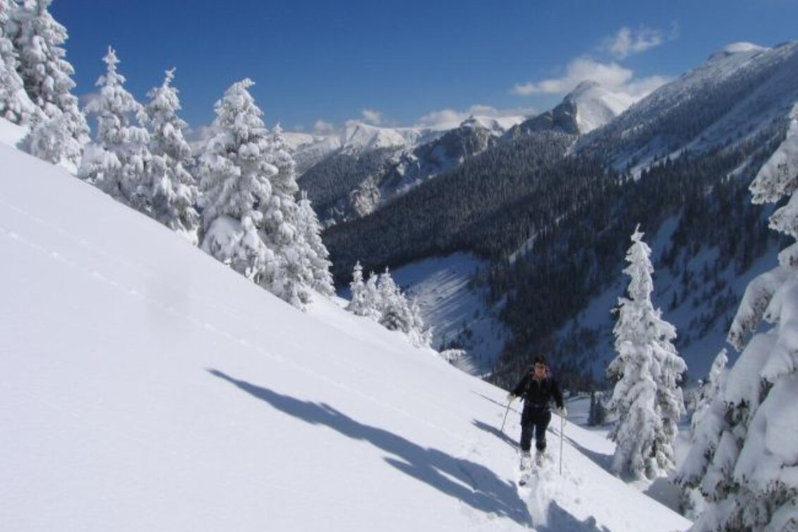 Snowshoe walking Schneeschuhwanderparadies Hinteralm - Touren-Impression #1 | © Naturpark Mürzer Oberland
